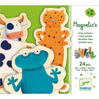 Djeco Magnetic's crazy